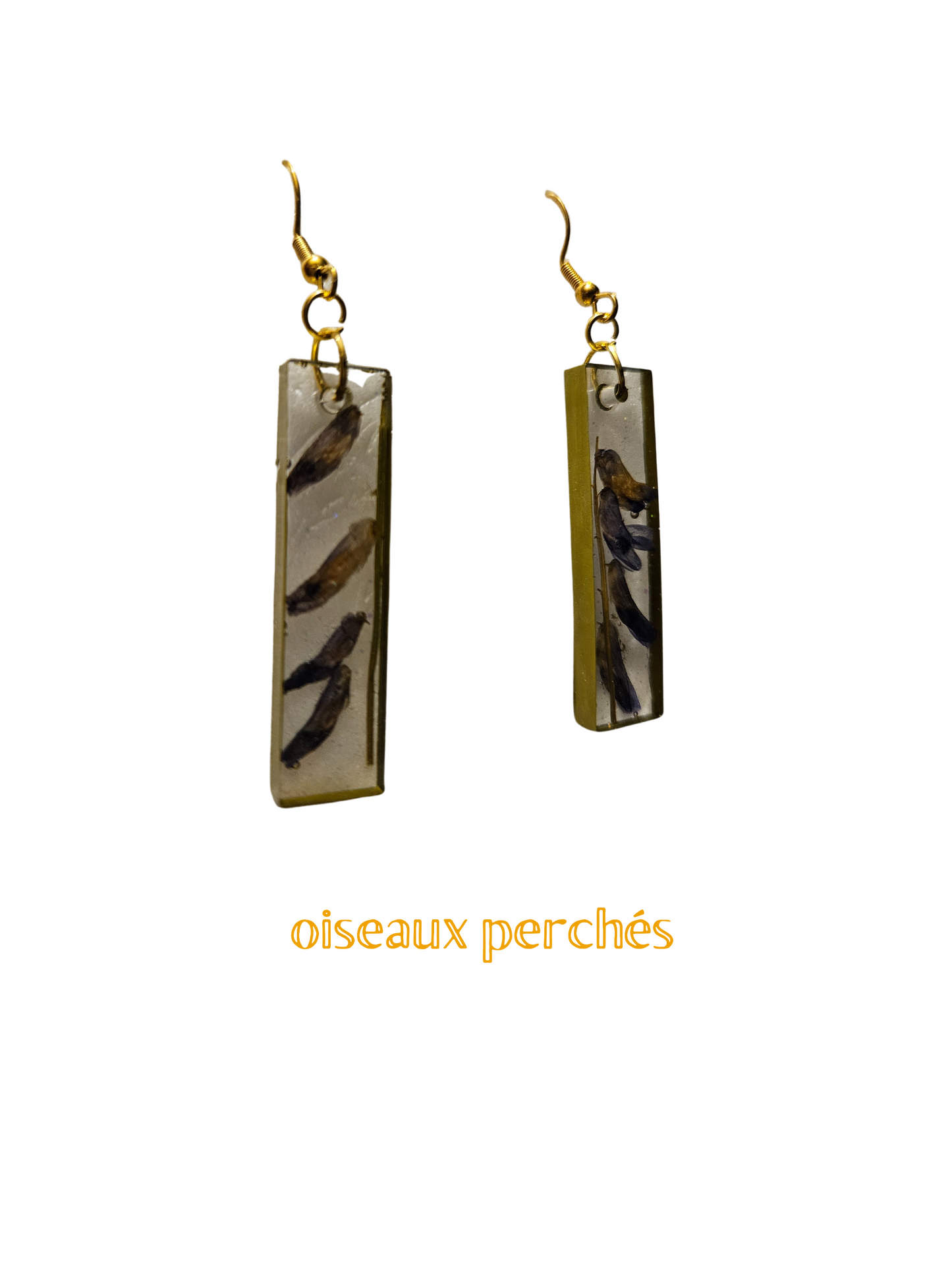 Oiseaux perchés