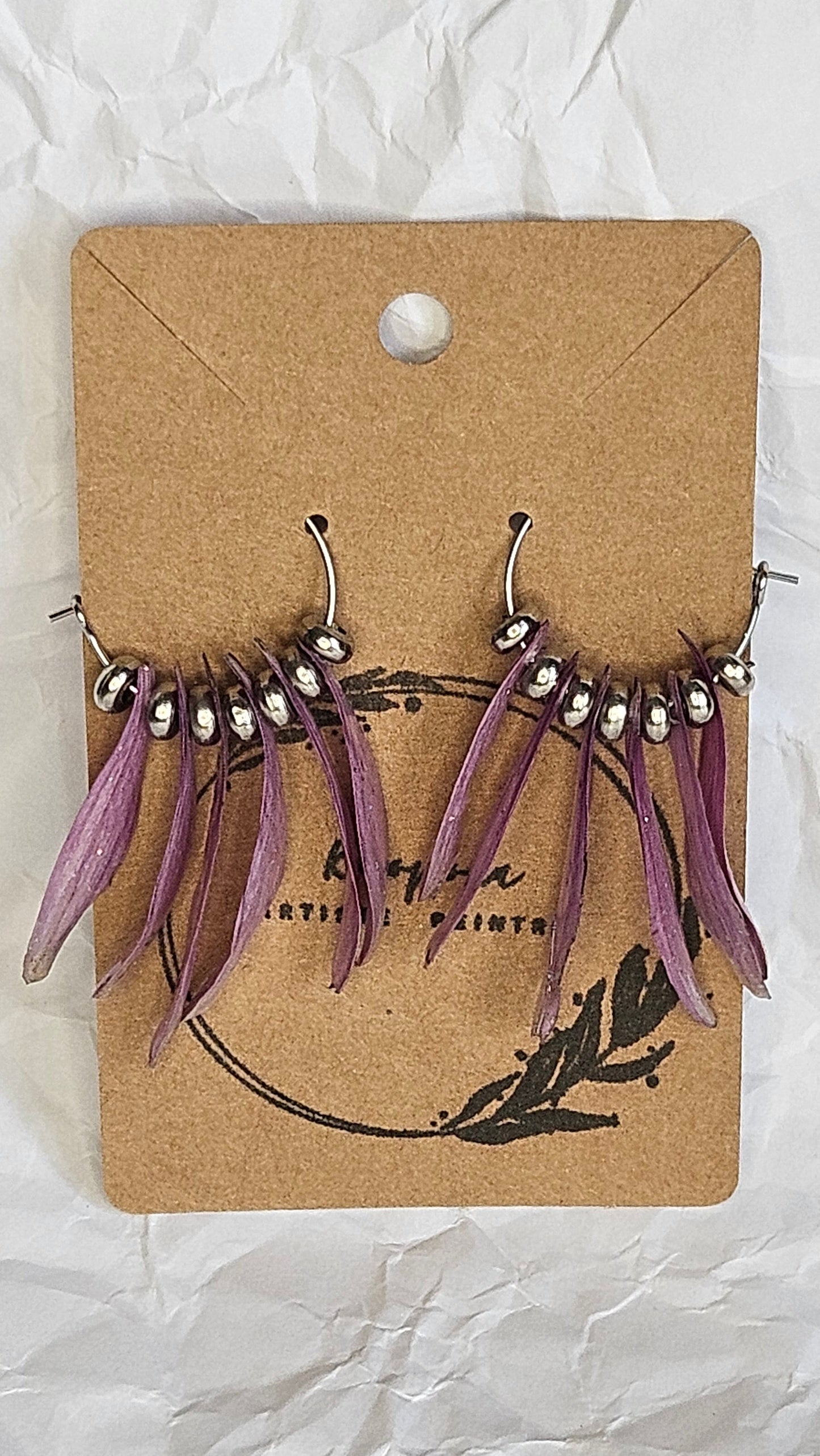 Échinacée  punky