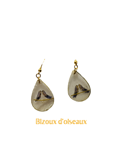 Bizou d'oiseaux